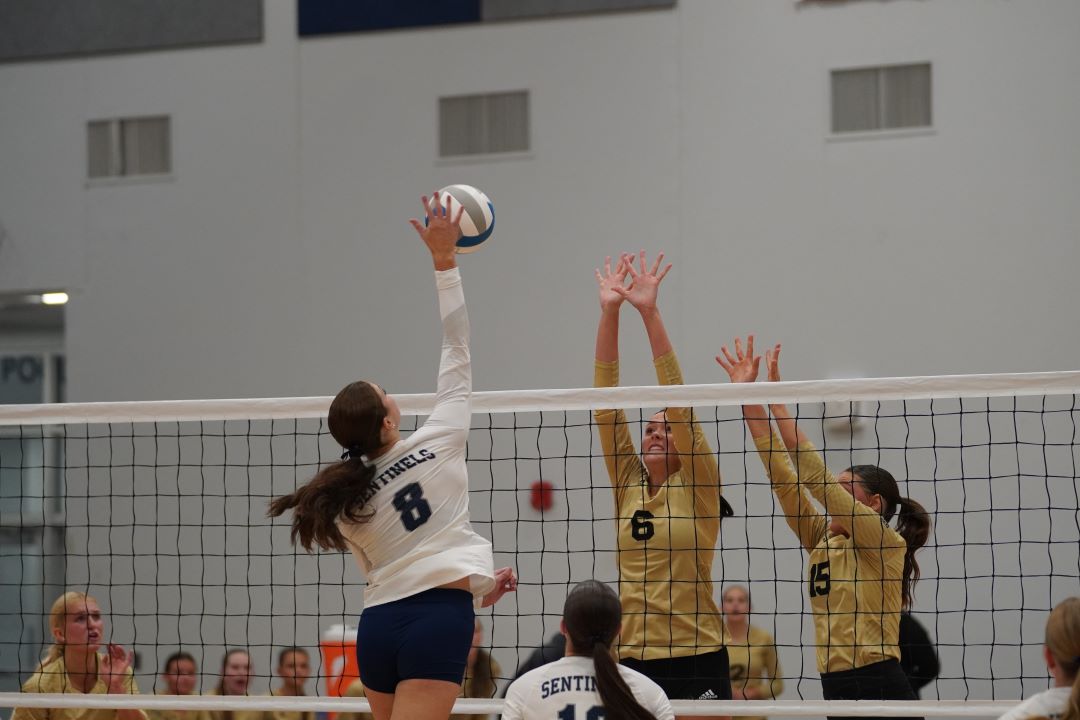 Volleyball