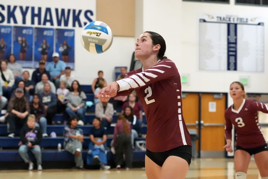 Volleyball