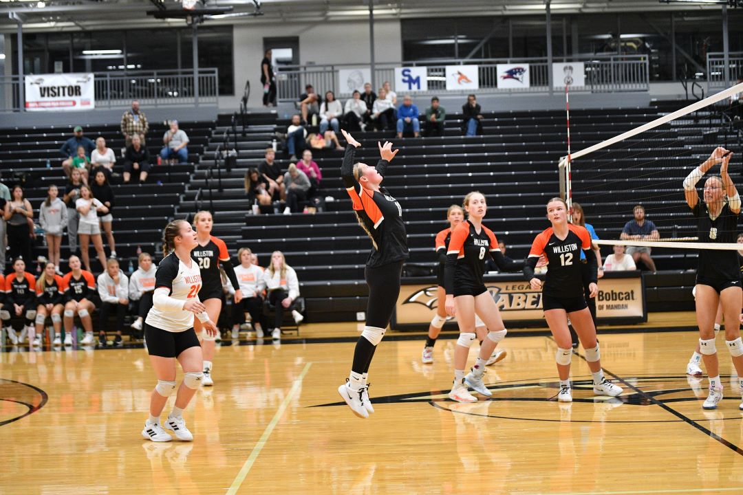 Volleyball