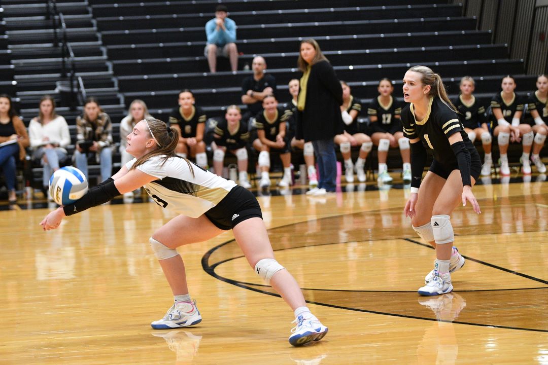 Volleyball