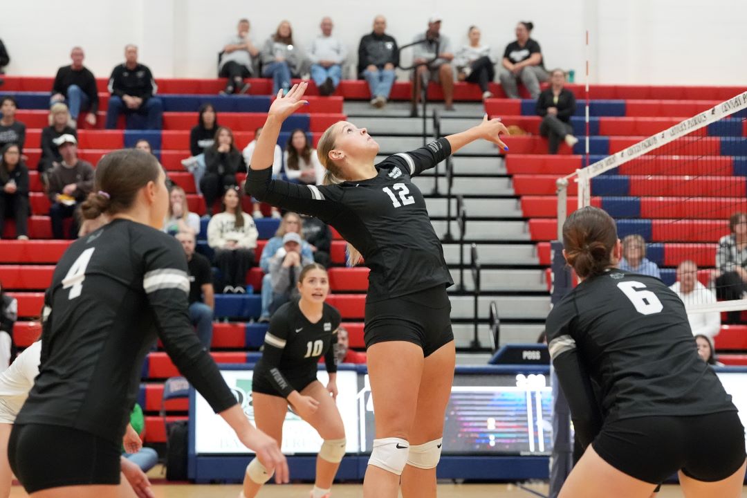 Volleyball