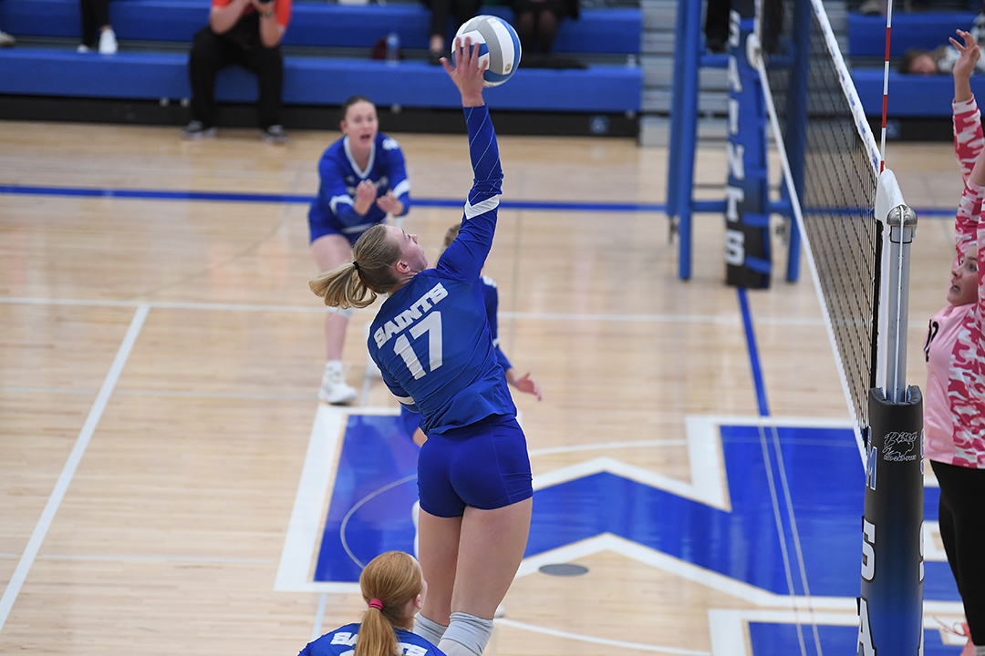 Volleyball