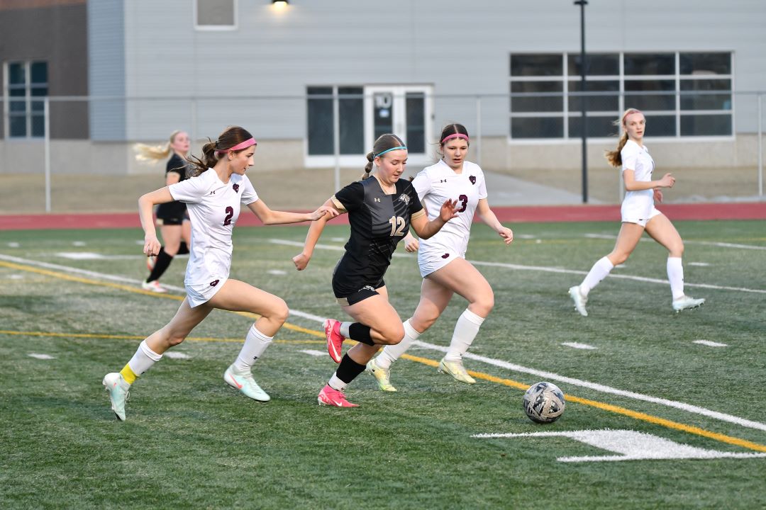 Bismarck Legacy Logo