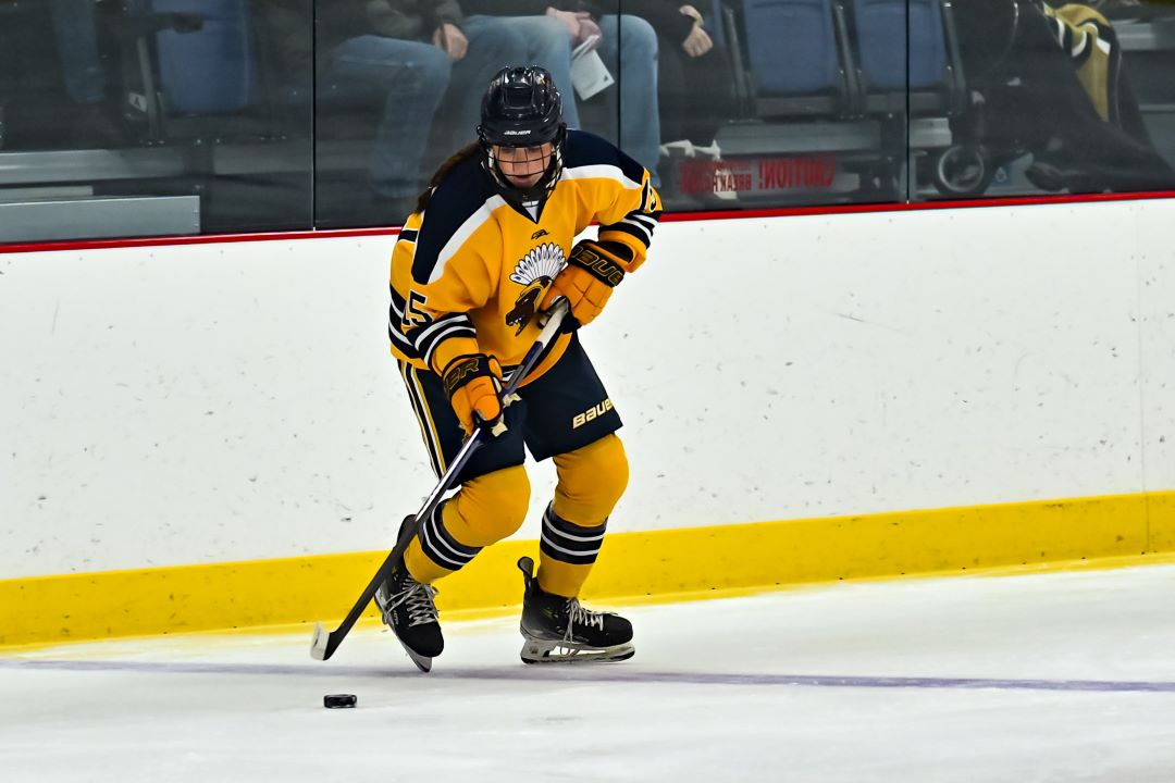 Fargo North-South Logo