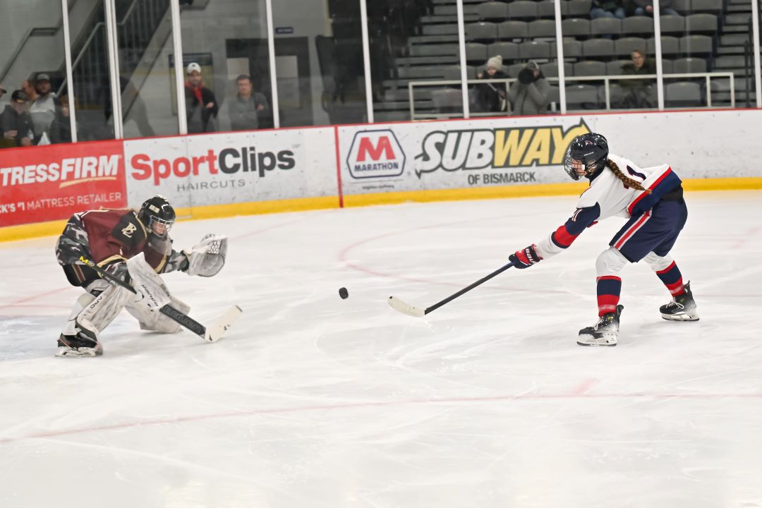 Bismarck Century Logo