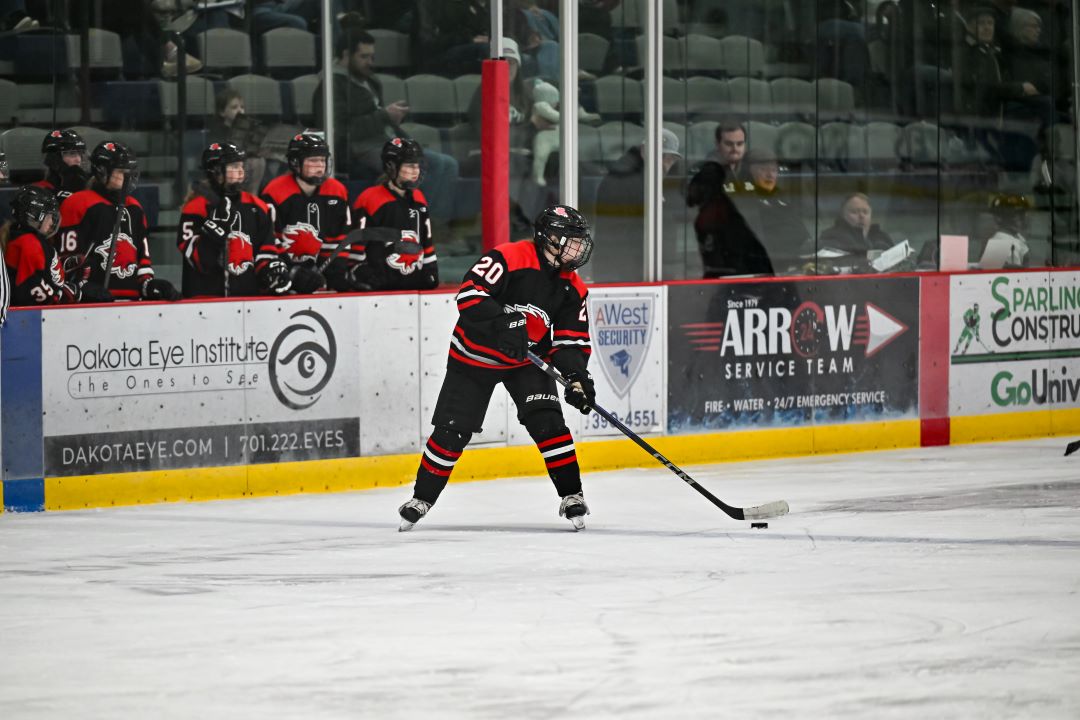 Devils Lake Logo