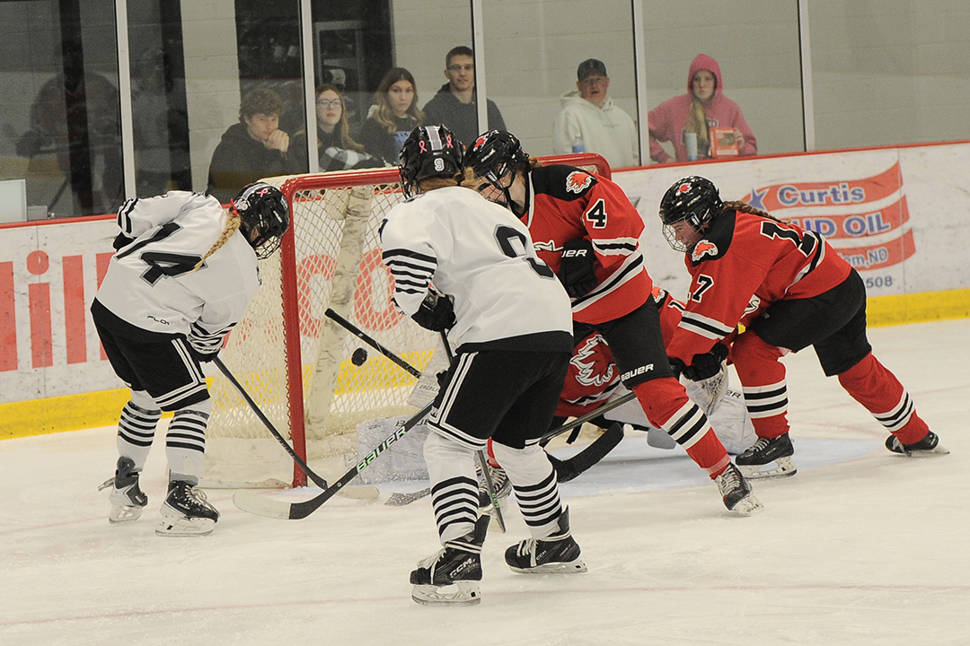 Girls Hockey