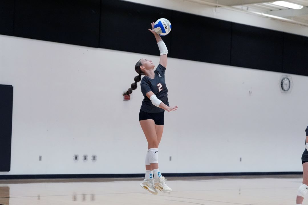 Volleyball
