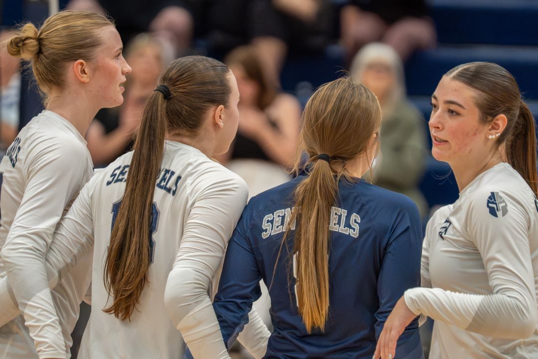 Volleyball