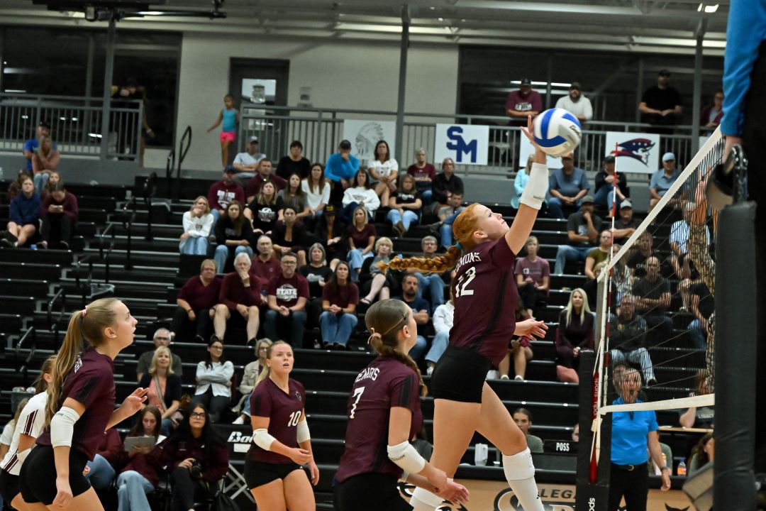 Volleyball
